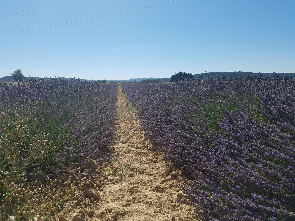 Les Buisses En Provence Piolenc Exterior foto